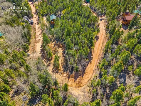413 Wakanda Trl, Woodland Park, CO 80863