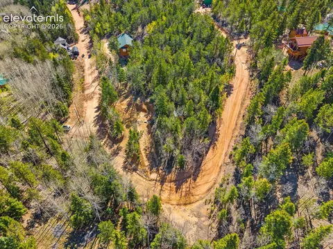 413 Wakanda Trl, Woodland Park, CO 80863