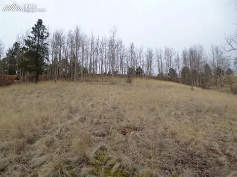 327 Calcite Dr, Divide, CO 80814 photo 5