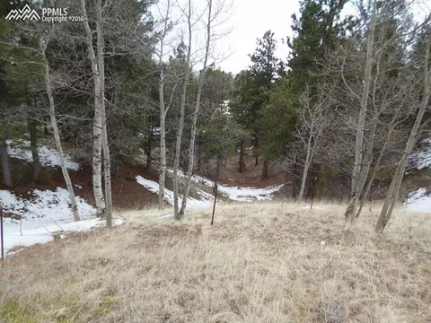 327 Calcite Dr, Divide, CO 80814 photo 4