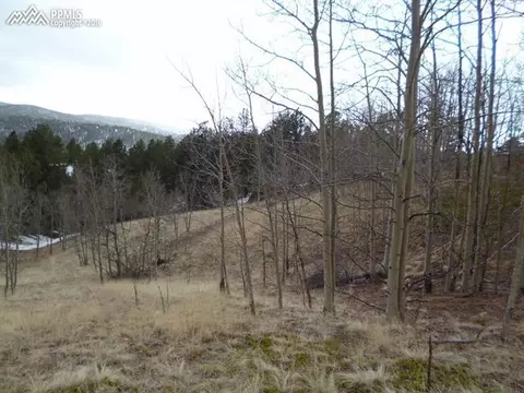 327 Calcite Dr, Divide, CO 80814 photo 2