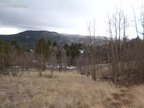 327 Calcite Dr, Divide, CO 80814 photo 1