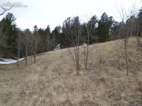 327 Calcite Dr, Divide, CO 80814 photo 3