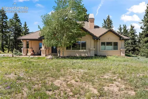 106 Joshua Rd, Divide, CO 80814 photo 2