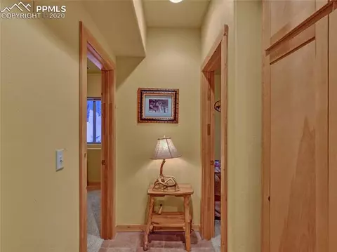 559 Timber Ridge Rd, Divide, CO 80814 photo 22
