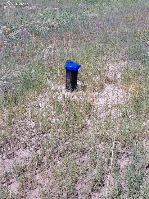 11660 E Range View Dr, Calhan, CO 80808 photo 6