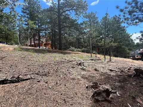 31 Pike View Cir, Divide, CO 80814 photo 5
