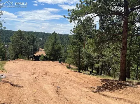 31 Pike View Cir, Divide, CO 80814 photo 7