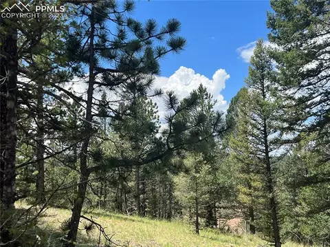 31 Pike View Cir, Divide, CO 80814 photo 4
