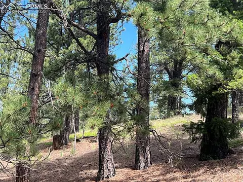 31 Pike View Cir, Divide, CO 80814 photo 6