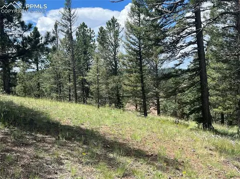 31 Pike View Cir, Divide, CO 80814 photo 3
