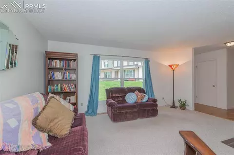 349 Raspberry Ln, Monument, CO 80132 photo 9