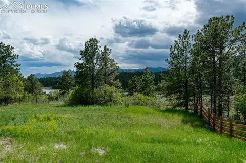 349 Raspberry Ln, Monument, CO 80132 photo 28
