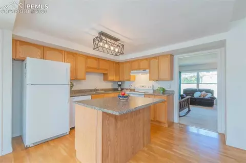 349 Raspberry Ln, Monument, CO 80132 photo 13