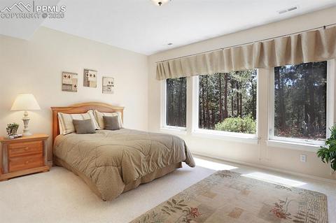 1175 Dolan Dr, Monument, CO 80132 photo 19