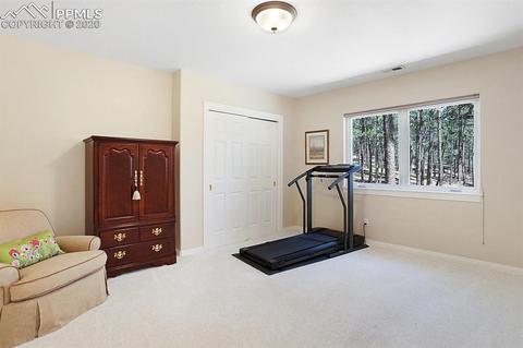 1175 Dolan Dr, Monument, CO 80132 photo 22