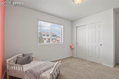 9772 Witherbee Dr, Peyton, CO 80831 photo 30