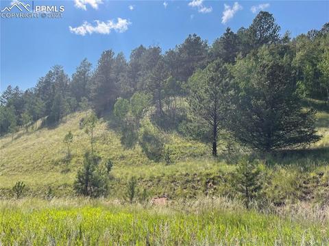 113 Beaver Pond Rd, Divide, CO 80814 photo 4