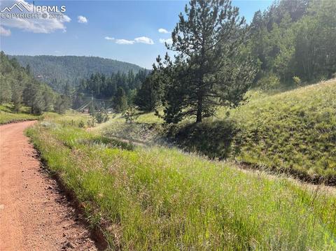 113 Beaver Pond Rd, Divide, CO 80814 photo 6