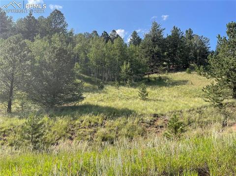 113 Beaver Pond Rd, Divide, CO 80814 photo 3