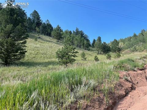 113 Beaver Pond Rd, Divide, CO 80814 photo 1