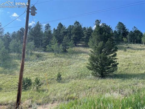 113 Beaver Pond Rd, Divide, CO 80814 photo 2