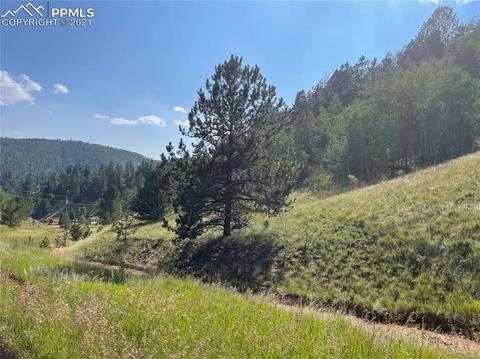 113 Beaver Pond Rd, Divide, CO 80814 photo 5