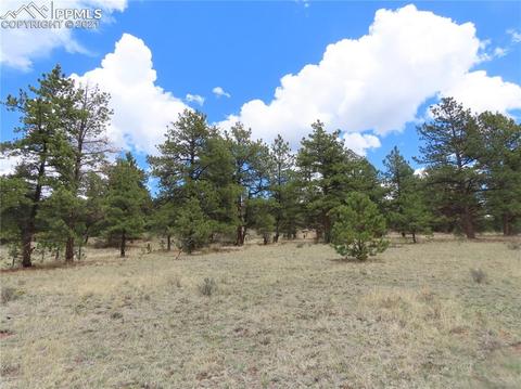 192 Cheyenne Way, Divide, CO 80814 photo 4