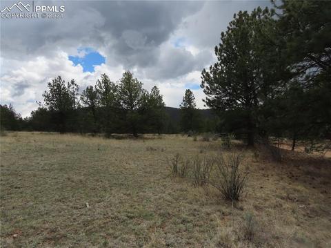 192 Cheyenne Way, Divide, CO 80814 photo 3