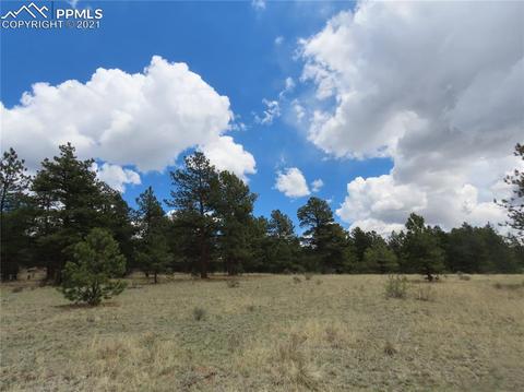 192 Cheyenne Way, Divide, CO 80814 photo 5
