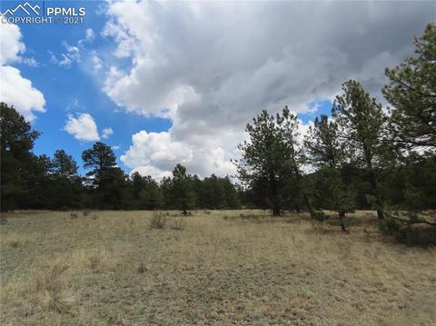 192 Cheyenne Way, Divide, CO 80814 photo 6