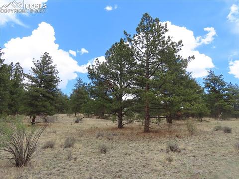 192 Cheyenne Way, Divide, CO 80814 photo 1
