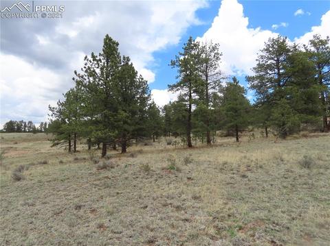 192 Cheyenne Way, Divide, CO 80814 photo 7