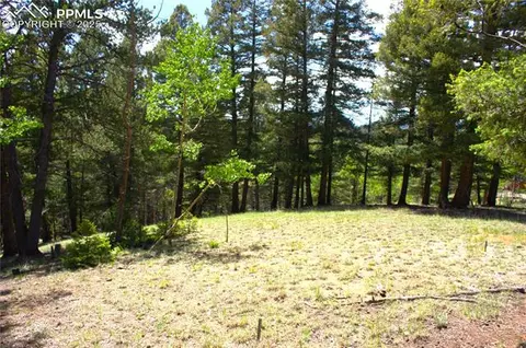 185 Cherry Lake Dr, Divide, CO 80814 photo 4