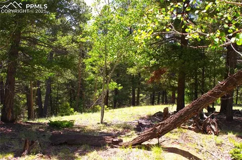 185 Cherry Lake Dr, Divide, CO 80814 photo 2