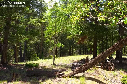 185 Cherry Lake Dr, Divide, CO 80814 photo 3