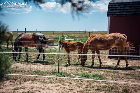 21525 Elk Meadows Cir, Elbert, CO 80106 photo 48
