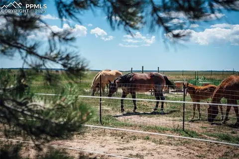 21525 Elk Meadows Cir, Elbert, CO 80106 photo 47