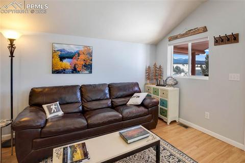 393 E Longbow Dr, Divide, CO 80814 photo 7