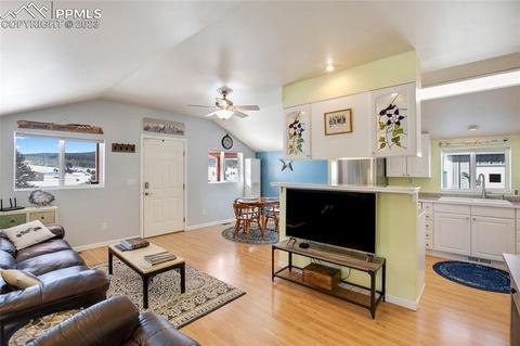 393 E Longbow Dr, Divide, CO 80814 photo 9