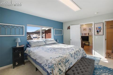 393 E Longbow Dr, Divide, CO 80814 photo 22