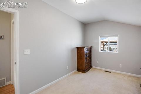393 E Longbow Dr, Divide, CO 80814 photo 32