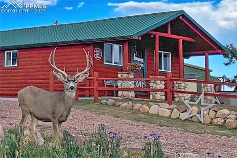 393 E Longbow Dr, Divide, CO 80814 photo 46