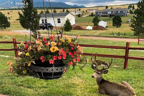393 E Longbow Dr, Divide, CO 80814 photo 36