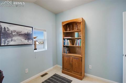 393 E Longbow Dr, Divide, CO 80814 photo 28