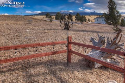 393 E Longbow Dr, Divide, CO 80814 photo 3