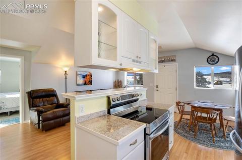 393 E Longbow Dr, Divide, CO 80814 photo 11