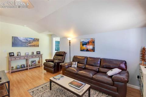 393 E Longbow Dr, Divide, CO 80814 photo 5