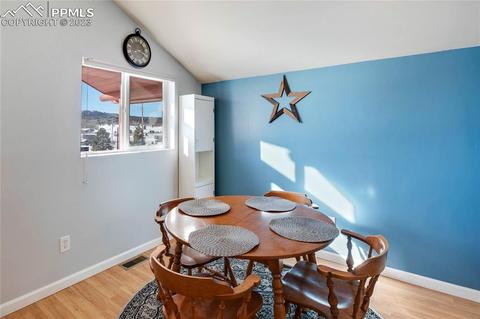 393 E Longbow Dr, Divide, CO 80814 photo 17