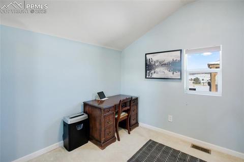 393 E Longbow Dr, Divide, CO 80814 photo 27